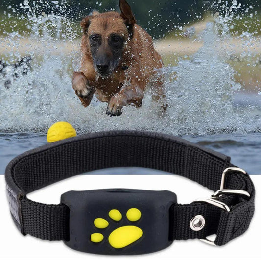 Universal Pet GPS Tracker Collar: Ultimate Real-Time Safety & Connection 🐾